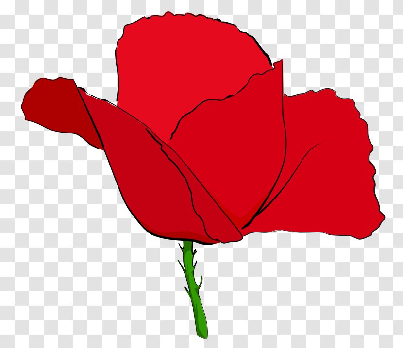 Remembrance Poppy Common Opium Clip Art - Rose - Flower Transparent PNG