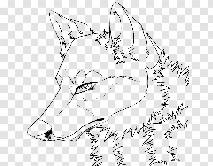 Line Art Gray Wolf Drawing DeviantArt Painting - Frame Transparent PNG