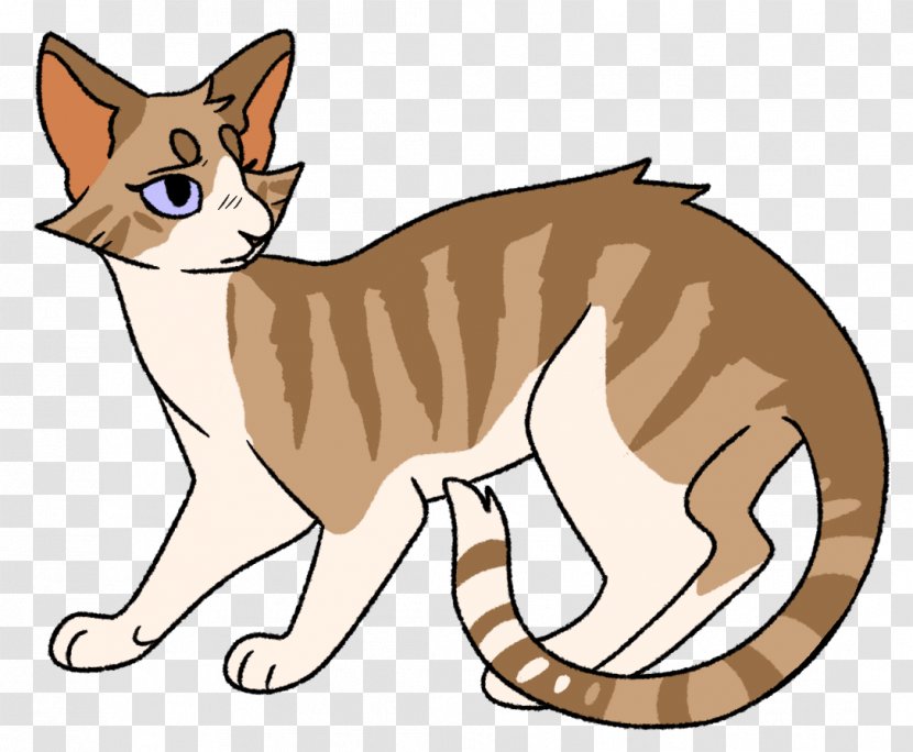 Kitten Whiskers Domestic Short-haired Cat Cats Of The Clans - Wildcat Transparent PNG
