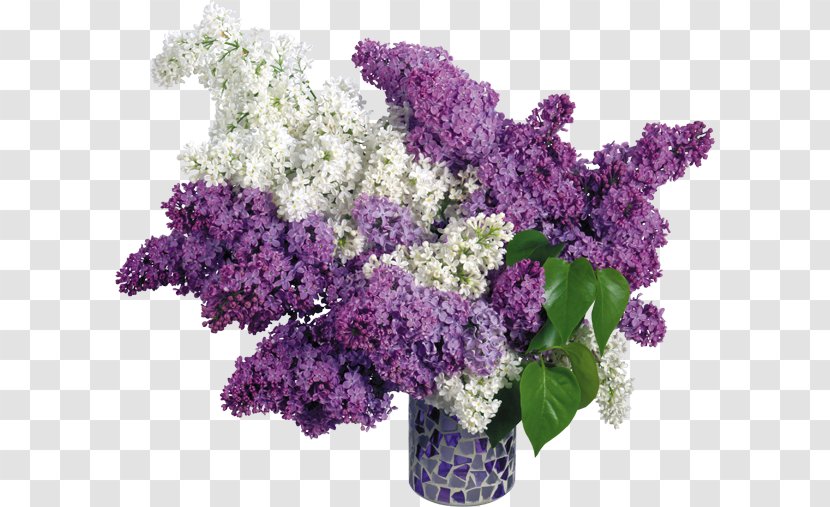 Common Lilac Pink Flowers Wallpaper - Artificial Flower - Vase Transparent PNG