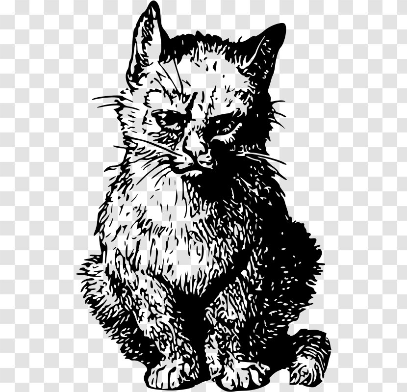 Whiskers Kitten Tabby Cat Domestic Short-haired Wildcat - Angry Transparent PNG