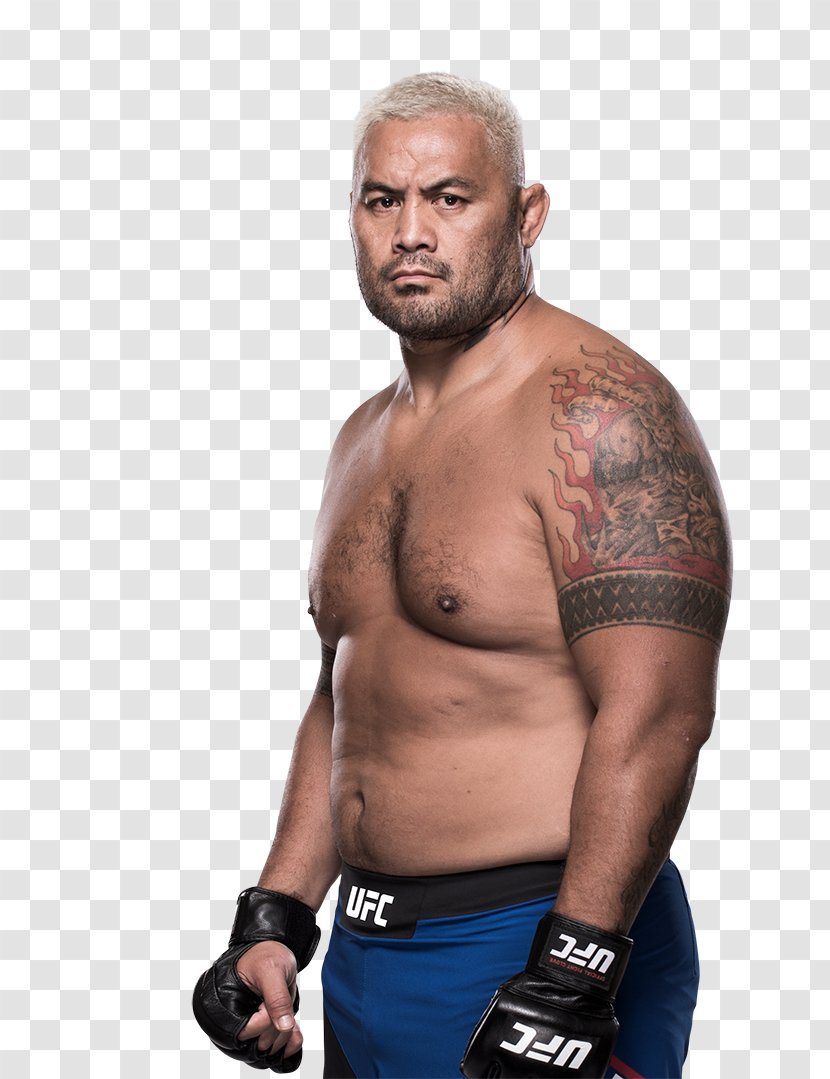 Mark Hunt UFC 135: Jones Vs. Rampage Fight Night 85: Mir 110: Lewis 65: Miocic - Flower Transparent PNG