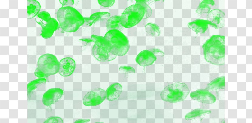 Green Pattern - Dream Jellyfish Transparent PNG