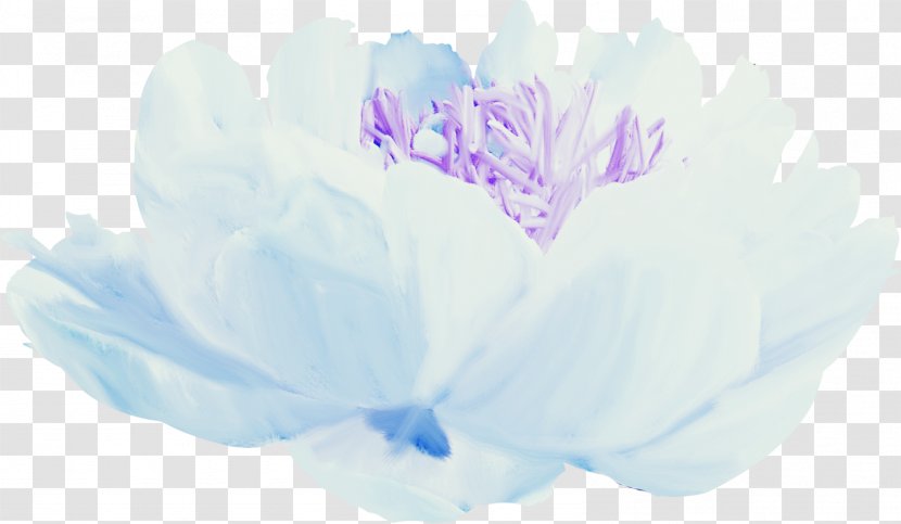 Petal Blue Flower Floral Design - Blog - Watercolor Flowers Transparent PNG