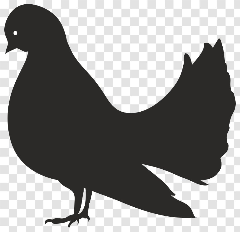 Rooster Duck Image Vector Graphics Clip Art - City Pigeon Transparent PNG