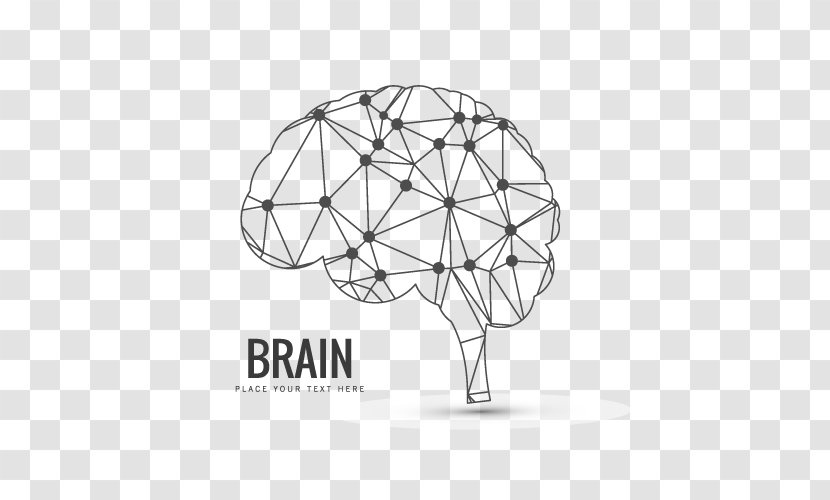Human Brain Neuroimaging Homo Sapiens - Diagram - Vector Transparent PNG
