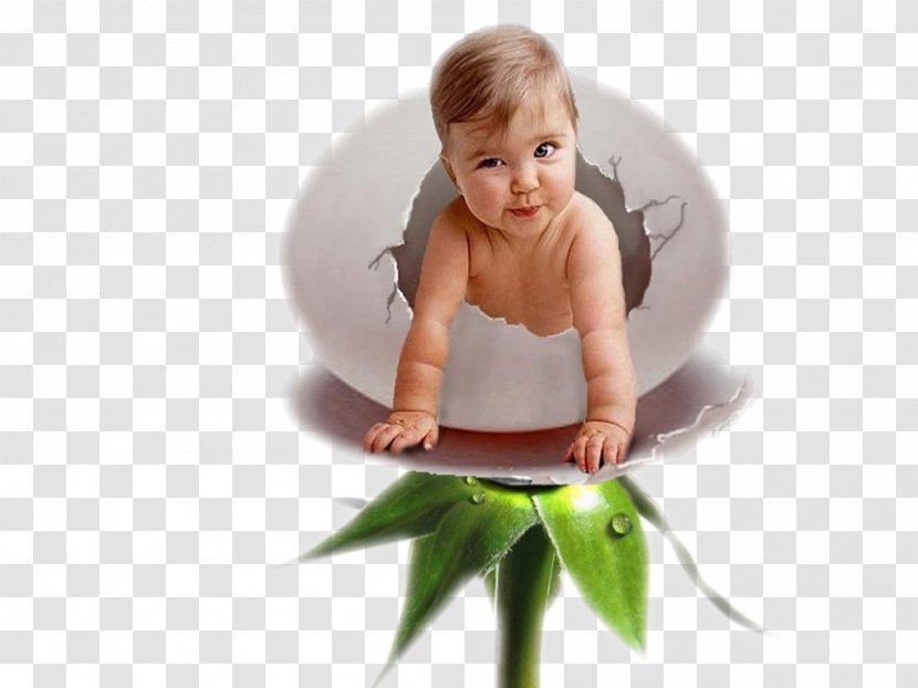 Infant Egg Donation Child Eggshell - Oocyte Cryopreservation - Baby Transparent PNG