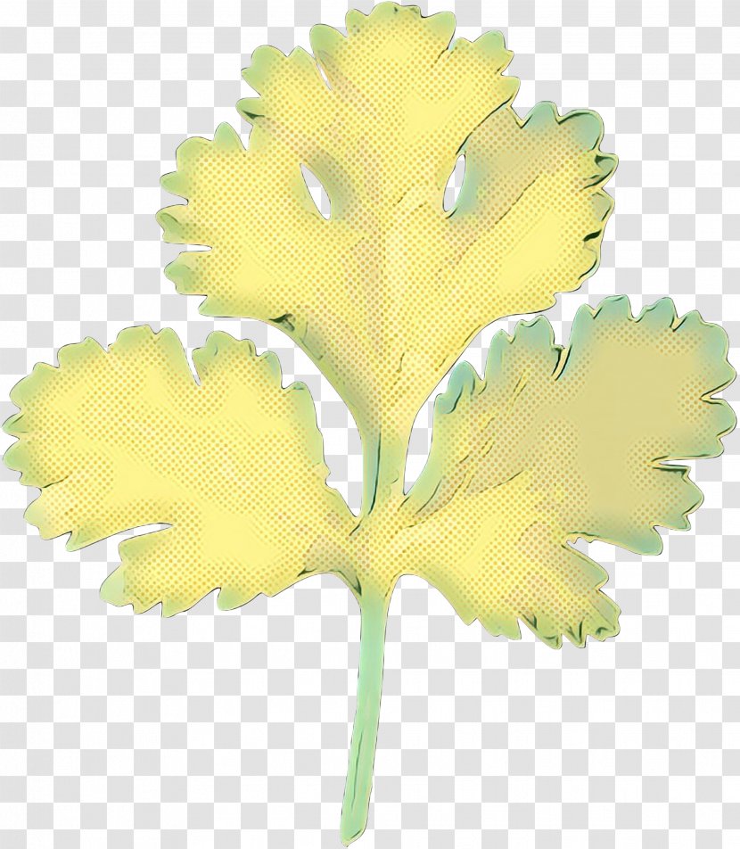 Plant Stem Leaf Flowering Tree Plants - Flower - Yellow Transparent PNG