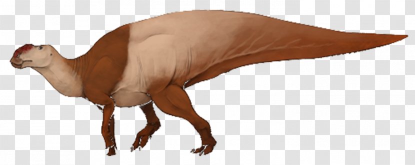 Hadrosaurus Foulkii Leidy Site Edmontosaurus Dinosaur Skeleton - Terrestrial Animal Transparent PNG