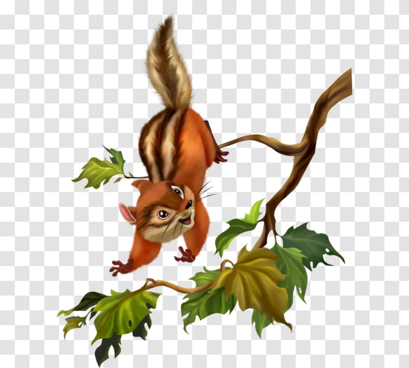 Tinker Bell Disney Fairies Squirrel Fairy Image - Tail - Les Sangliers Transparent PNG