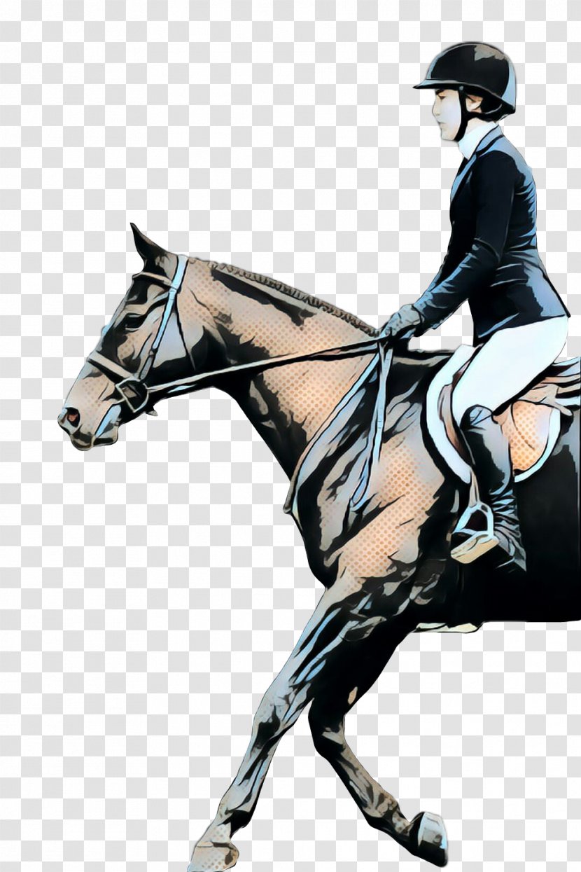 Hunt Seat Stallion Rein Mustang Halter - Equestrian - Horse Transparent PNG