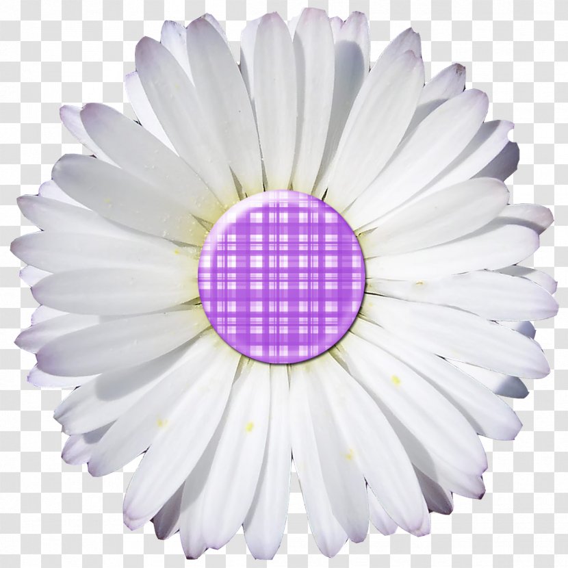 2016 Ford F-250 Digital Scrapbooking Paper - Daisy Family - Plaid Transparent PNG