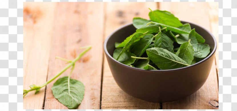 Holy Basil Health Leaf Semen - Ayurveda Transparent PNG