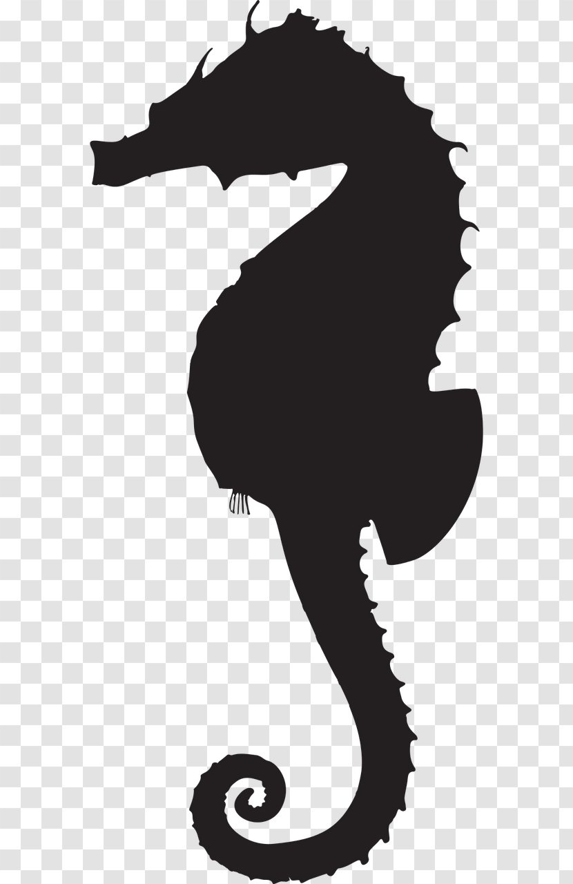 Seahorse Silhouette Clip Art - Horse - Animal Silhouettes Transparent PNG