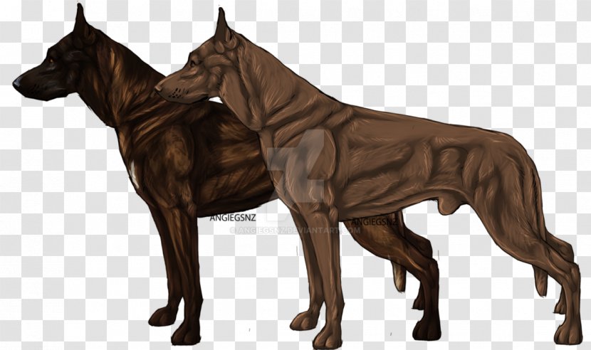 Dog Breed Great Dane - Like Mammal - Dutch Shepherd Transparent PNG