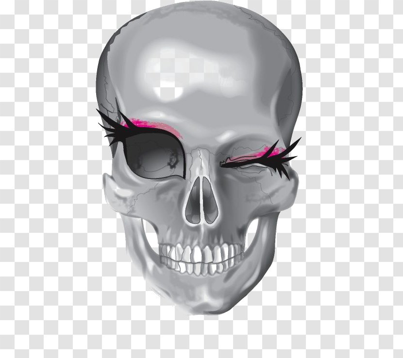 Skull Human Skeleton - Watercolor Transparent PNG