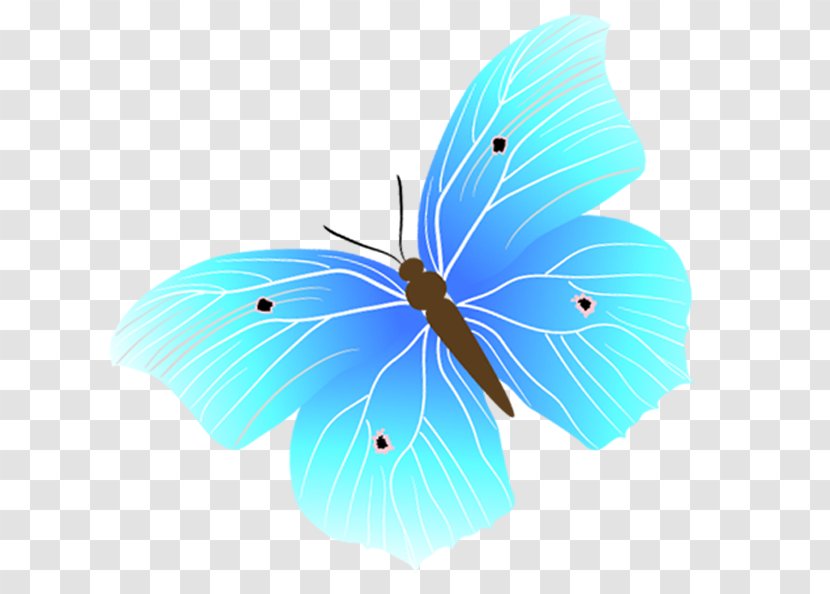 Blue Euclidean Vector - Petal - Butterfly Transparent PNG