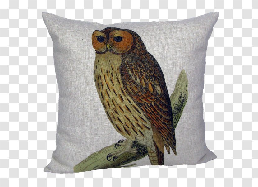 Owl Throw Pillows Cushion Chair - Antique - Bird Nest Pillow Transparent PNG