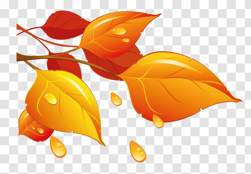 Autumn Leaf Color Clip Art - Orange - Transparent Leaves Clipart Transparent PNG
