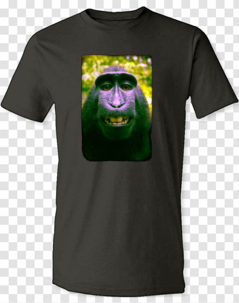 T-shirt Clothing Sleeve Philadelphia Soul - Tree - Selfie Transparent PNG