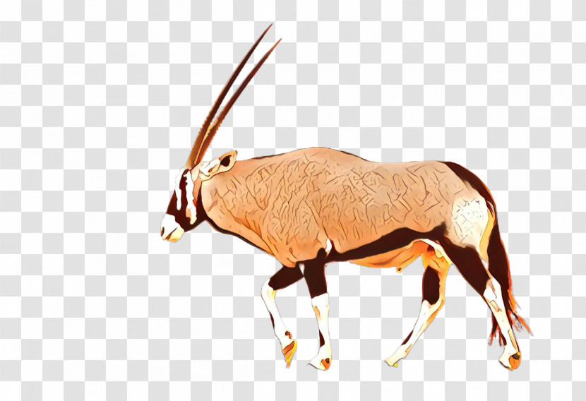 Antelope Oryx Gemsbok Wildlife Cow-goat Family Transparent PNG