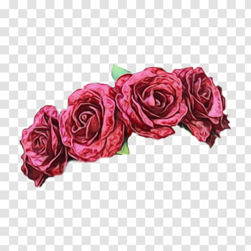 Garden Roses - Pink - Petal Violet Transparent PNG