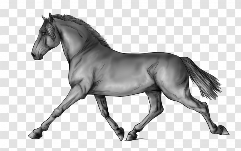 Pony Mane Mustang Stallion Art - Monochrome - Deviantart Horses Transparent PNG