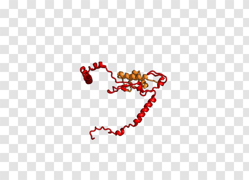 Eukaryotic Large Ribosomal Subunit Ribosome Protein Svedberg - Silhouette - Watercolor Transparent PNG