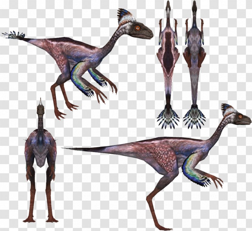 Incisivosaurus Velociraptor Protarchaeopteryx Dinosaur Tarbosaurus - Water Bird Transparent PNG