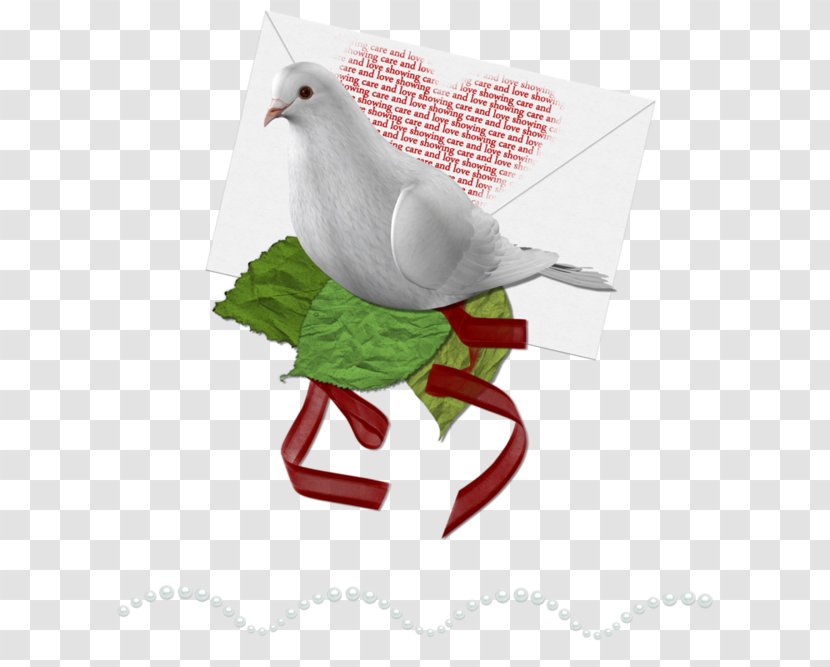 Love Letter Image Drawing Illustration - Tree - Fowl Transparent PNG