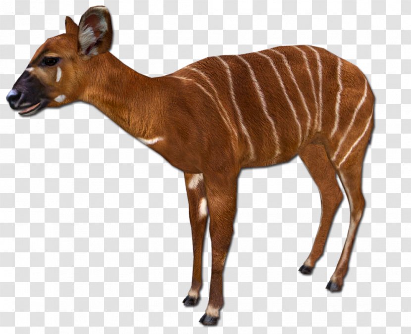 Sable Antelope Impala Zoo Tycoon 2 Animal - Giant Transparent PNG