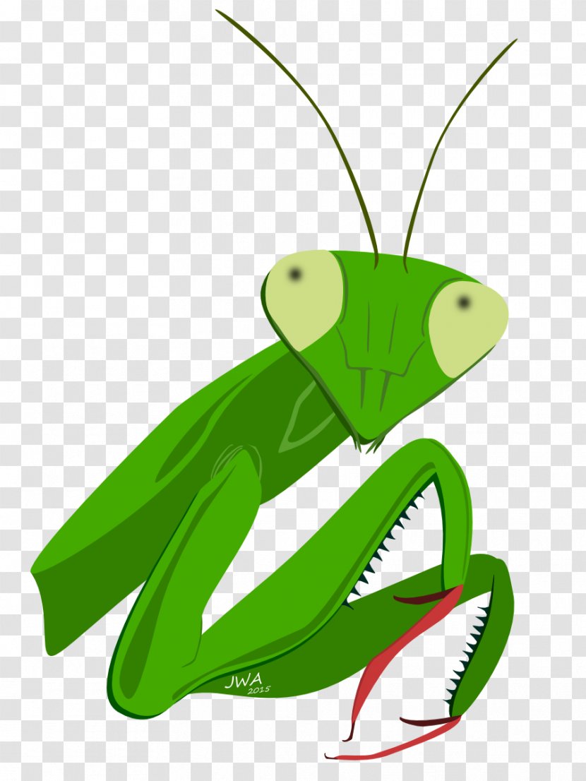 Mantis Insect Cartoon Animal - Grass - Honey Theme Transparent PNG