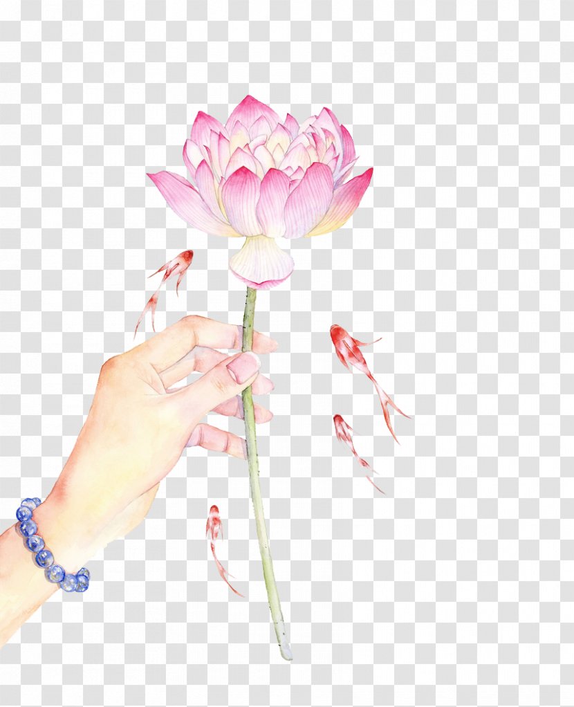 Nelumbo Nucifera - Flower - Antiquity Lotus And Fish Transparent PNG