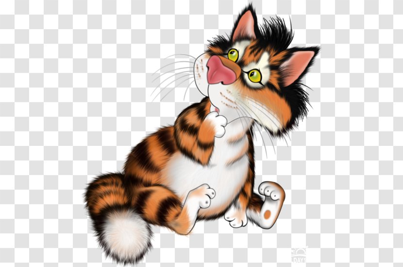 Whiskers Kitten Tiger Cat Paw - Vertebrate Transparent PNG