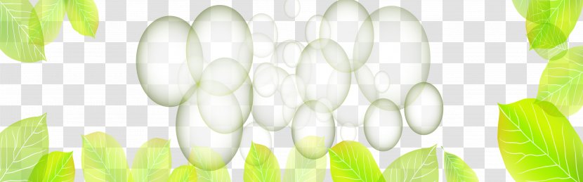 Green Wallpaper - Plant Stem - Fantastic Fresh Banner Creatives Transparent PNG