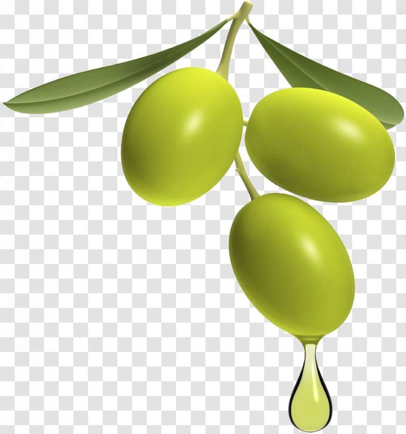 Greek Cuisine Olive Oil Pomace Transparent PNG