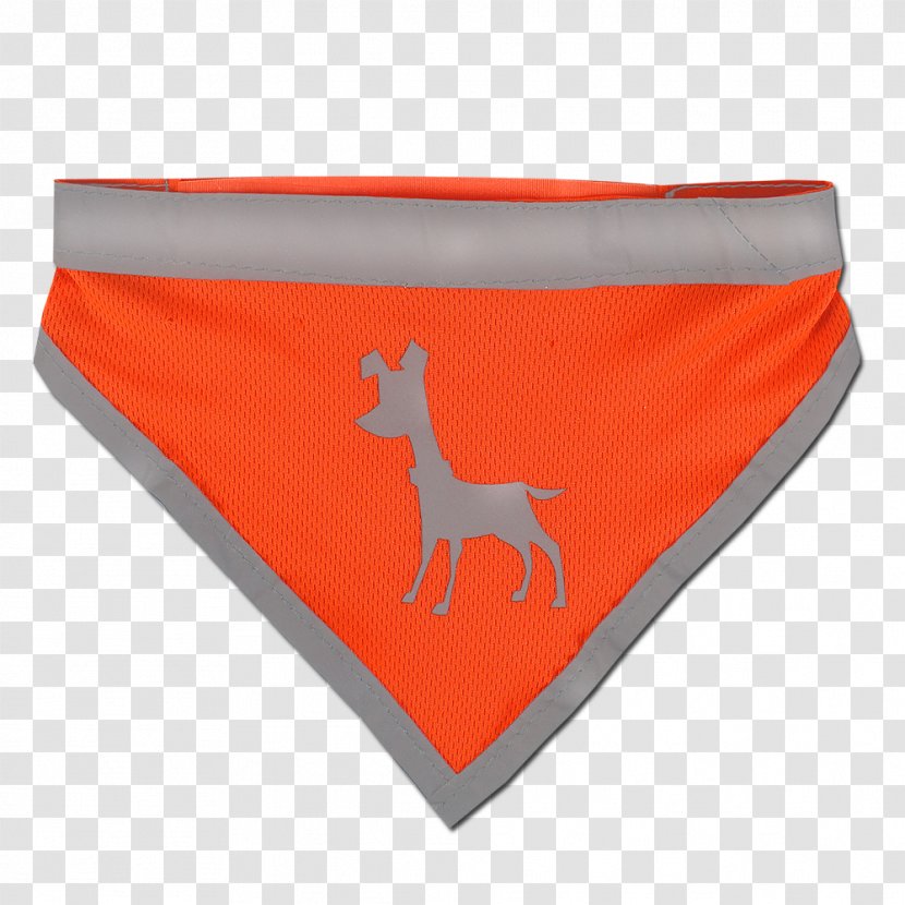 Briefs Underpants - Flower - Bandana Transparent PNG