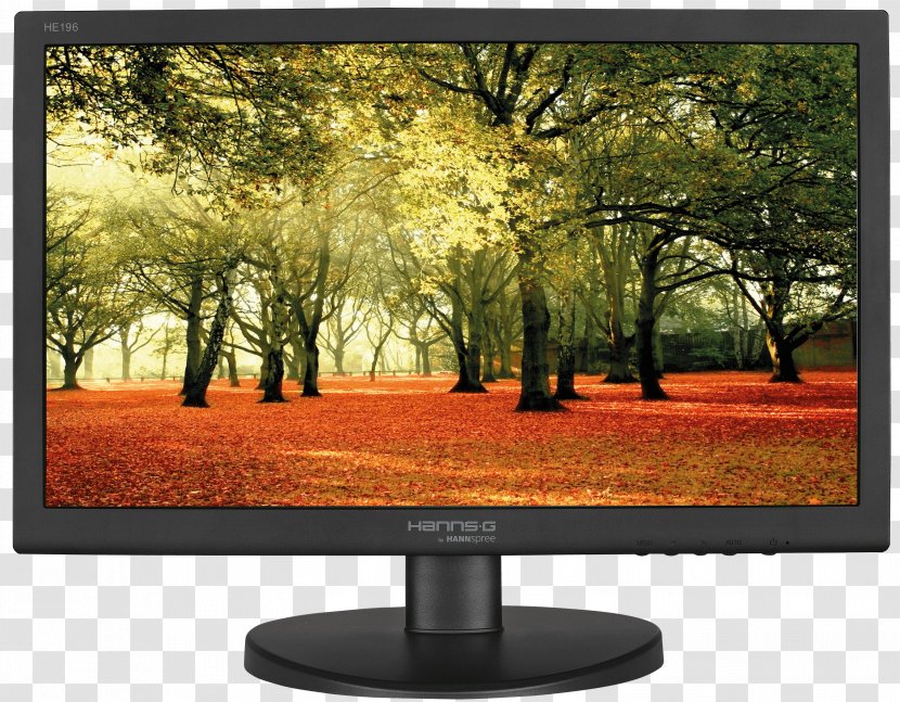 Ethiopia Computer Monitors 1080p Hanns.G HE LED-backlit LCD - Liquidcrystal Display - 16:9 Transparent PNG