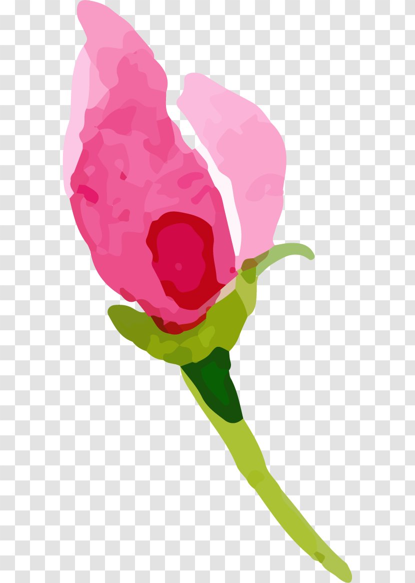 Garden Roses Cabbage Rose Flower Clip Art - Petal Transparent PNG