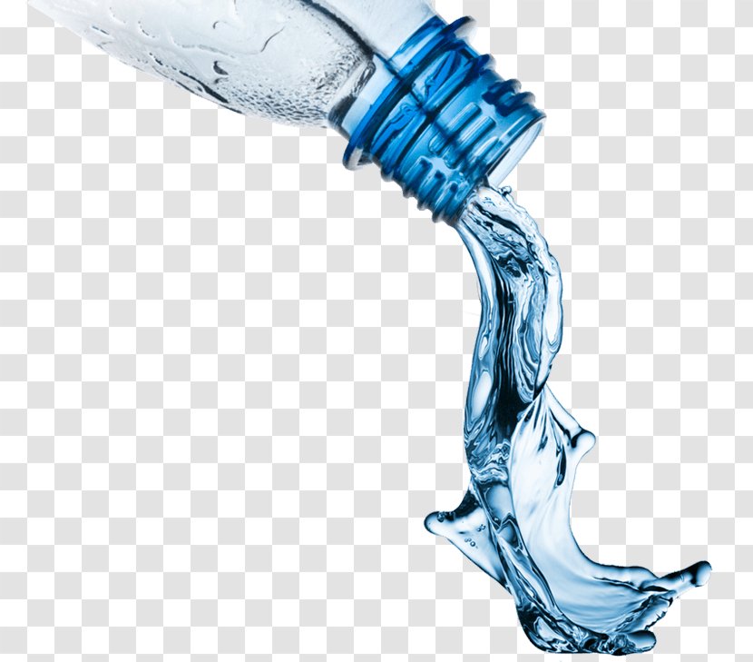 NBA 2K17 2K16 Slime Borax Sharpshooter - Arm - Water Bottle Transparent PNG