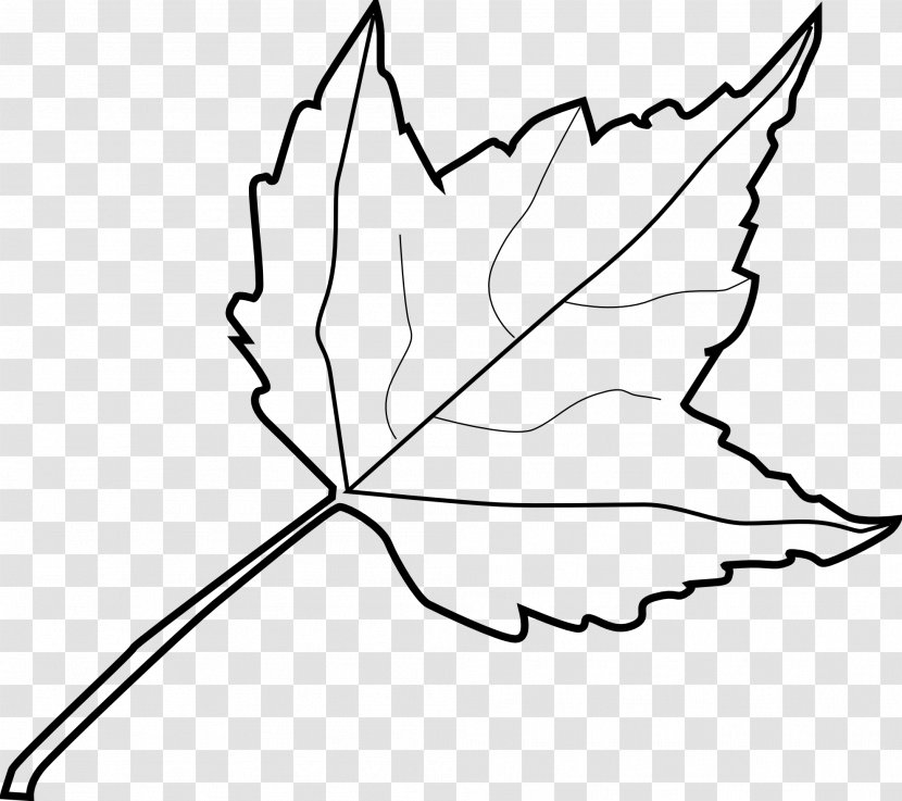 Maple Leaf Drawing Clip Art - Flower Transparent PNG