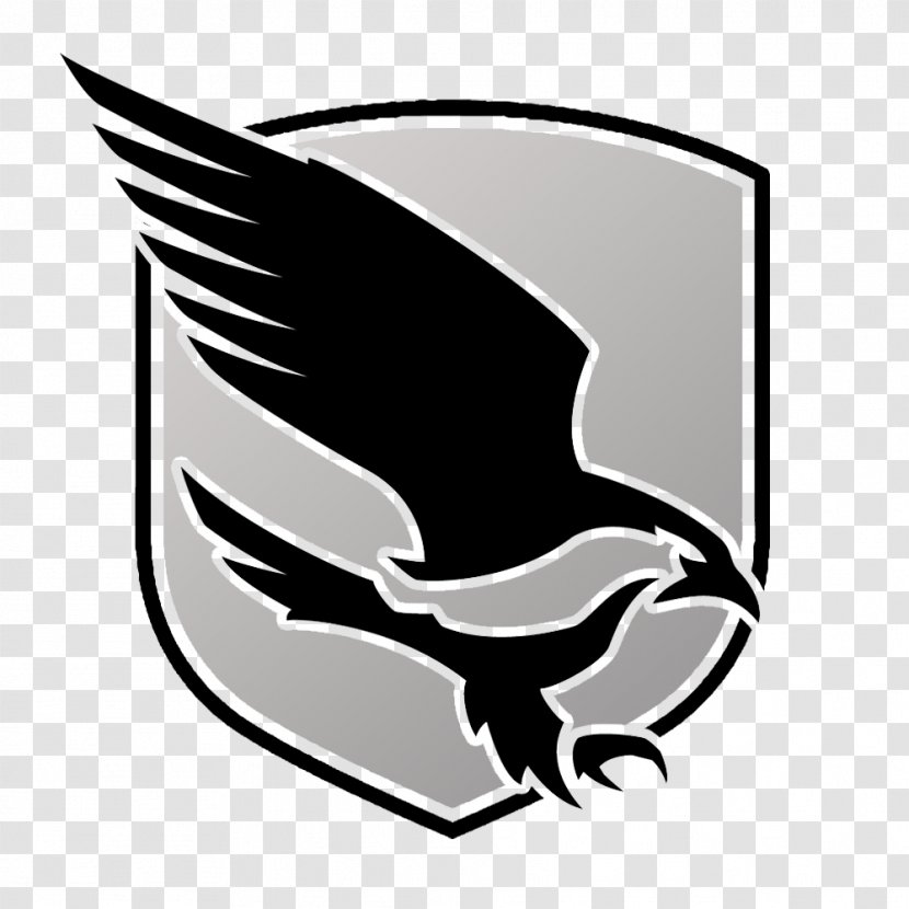 Logo Common Nighthawk Beak - Falconidae - Illegal Logging Transparent PNG