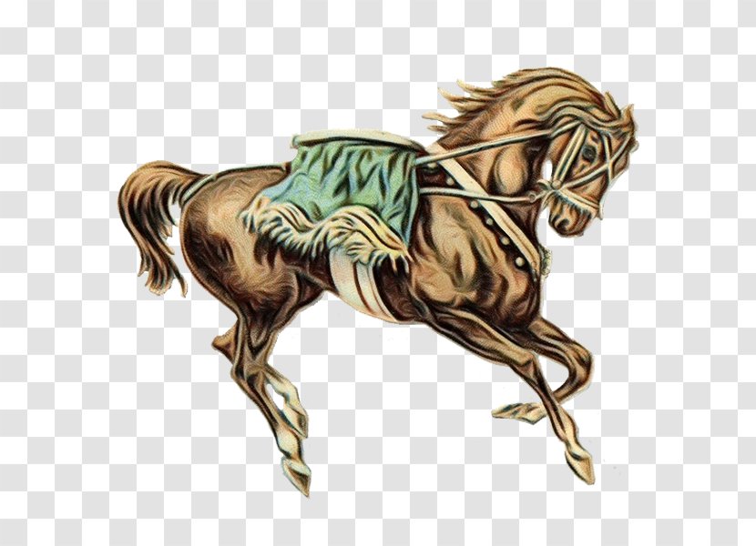 Horse Cartoon - Liver - Drawing Transparent PNG