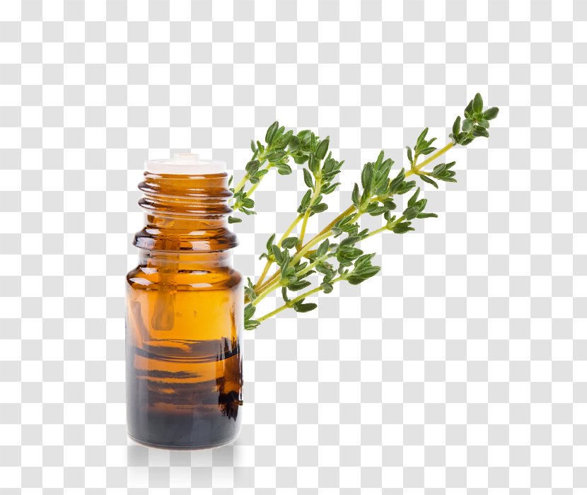 English Lavender Essential Oil Lavandula Latifolia Garden Thyme - Infections Transparent PNG
