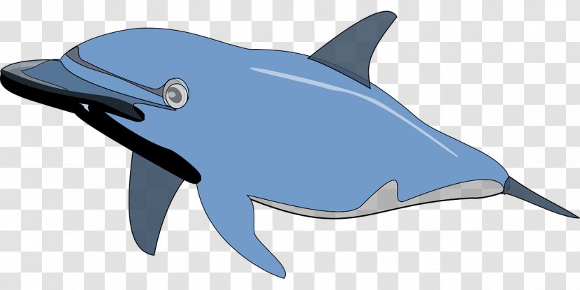 Spinner Dolphin Bottlenose Clip Art - Fauna - Blue Transparent PNG