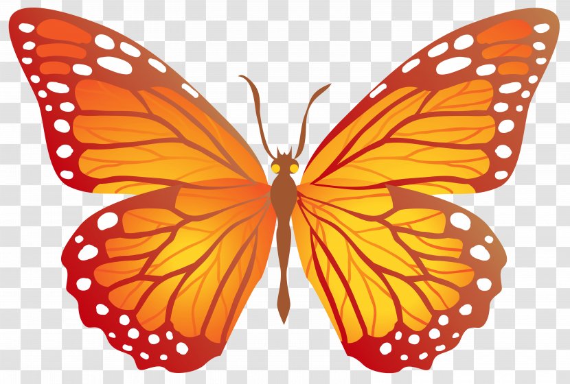 Butterfly Clip Art - Color - Red Transparent PNG