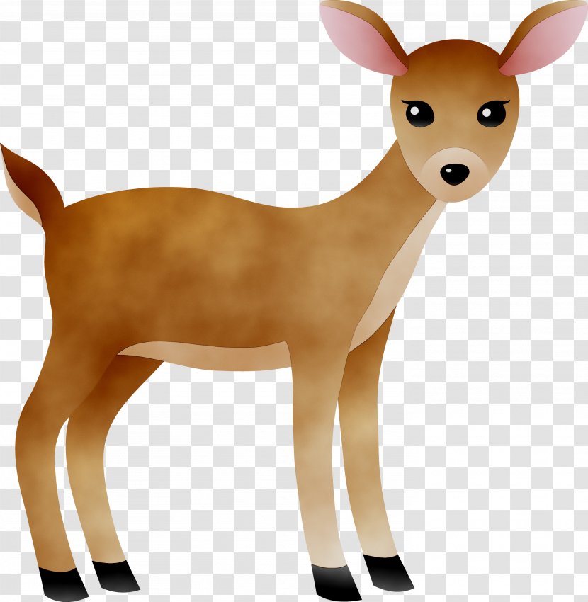 White-tailed Deer Reindeer Antelope Fur - Mammal - Whitetailed Transparent PNG