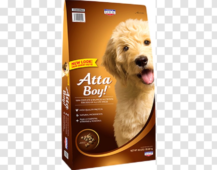 Goldendoodle Dog Food Puppy Nutro Products Pet - Protein Quality Transparent PNG