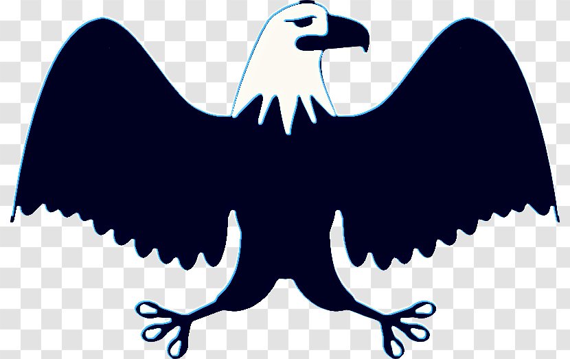 Eagle Drawing - Vulture - Falconiformes Logo Transparent PNG