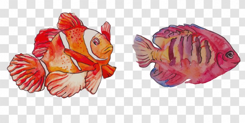 Watercolor Painting Clownfish - FISH Transparent PNG